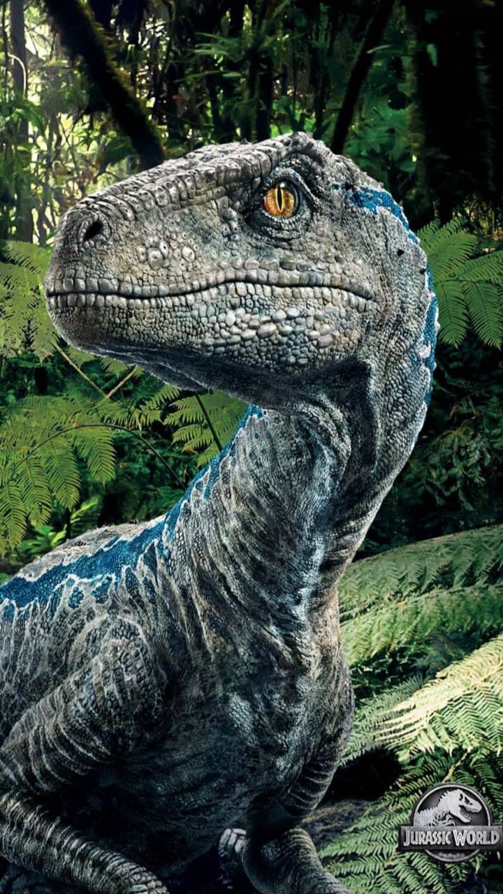 Featured image of post Blue Jurassic World Wallpaper Iphone