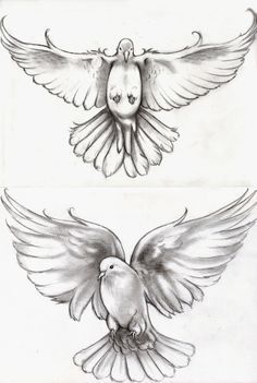 Featured image of post Flying Realistic Dove Drawing