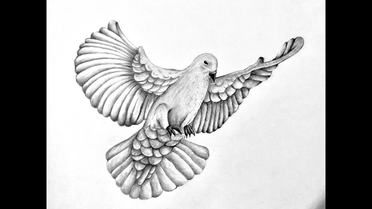 Featured image of post Realistic Realism Realistic Dove Drawings