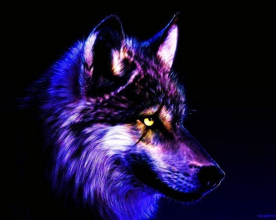 Featured image of post Wolf Cool Wallpaper Pictures